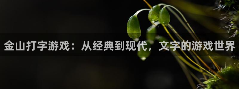 鼎点娱乐代理登陆：金山打字游戏：从经典到现代，文字的游戏世界