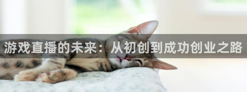 鼎点娱乐测速登陆：游戏直播的未来：从初创到成功创业之路