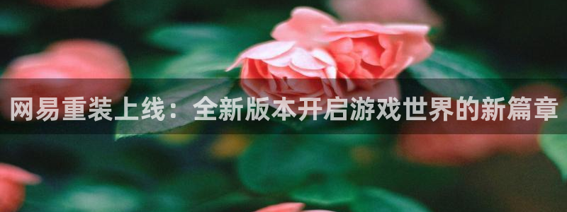 鼎点娱乐下载链接：网易重装上线：全新版本开启游戏世界的新篇章