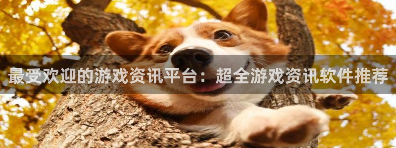 鼎点娱乐娱乐是真的吗：最受欢迎的游戏资讯平台：超全游戏资讯软