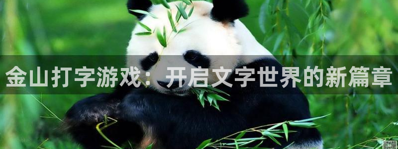 鼎点娱乐下载链接：金山打字游戏：开启文字世界的新篇章