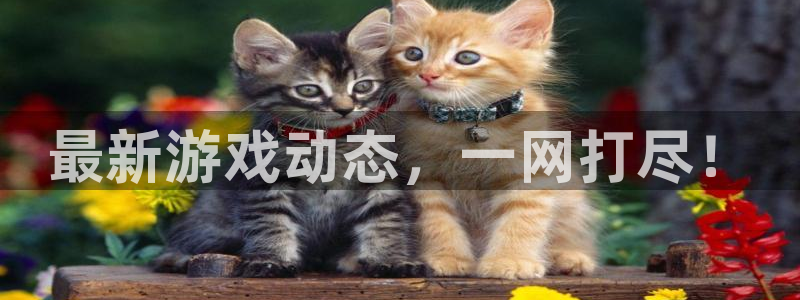 鼎点娱乐2登录：最新游戏动态，一网打尽！