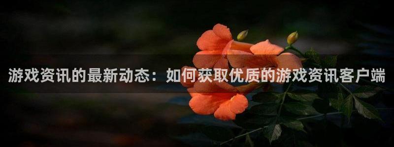 鼎点娱乐的意思：游戏资讯的最新动态：如何获取优质的游戏资讯客