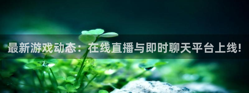 鼎点娱乐4主管：最新游戏动态：在线直播与即时聊天平台上线!