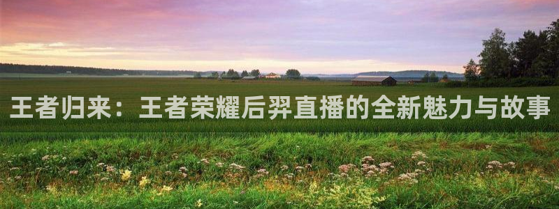 斗球tv直播app下载：王者归来：王者荣耀后羿直播的全新魅力与故事