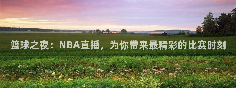 斗球直播(免费)：篮球之夜：NBA直播，为你带来最精彩的比赛时刻