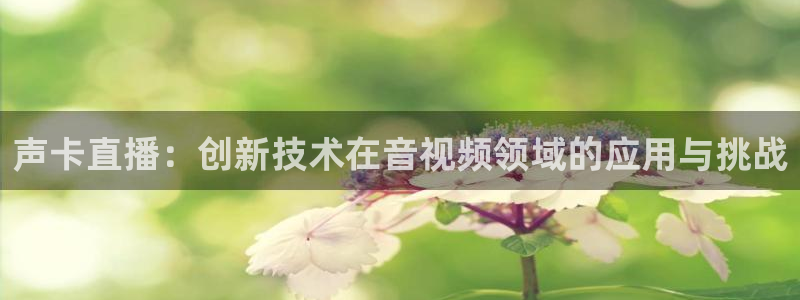 斗球直播免费观看：声卡直播：创新技术在音视频领域的应用与挑战