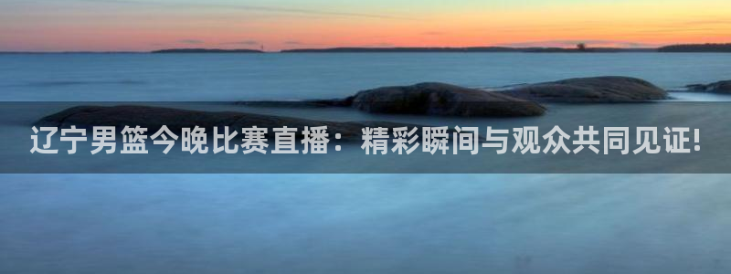 斗球免费体育直播平台：辽宁男篮今晚比赛直播：精彩瞬间与观众共同见证!