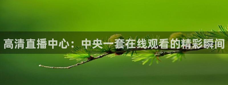斗球直播nba：高清直播中心：中央一套在线观看的精彩瞬间