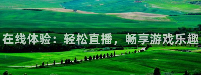 斗球体育直播：在线体验：轻松直播，畅享游戏乐趣