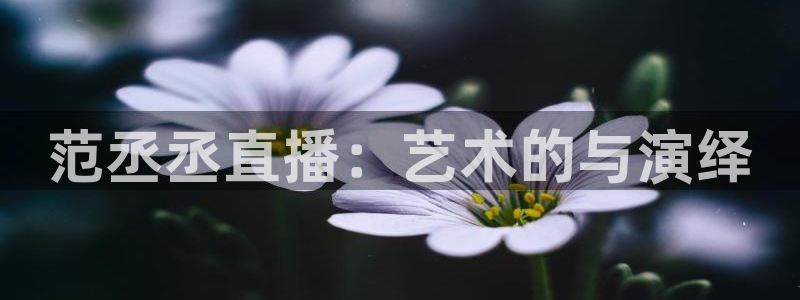 nba斗球直播：范丞丞直播：艺术的与演绎