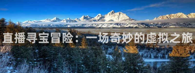 斗球直播电脑版：直播寻宝冒险：一场奇妙的虚拟之旅