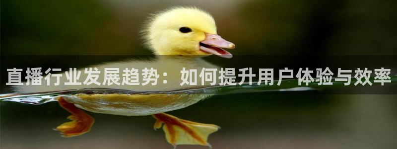 斗球直播网址：直播行业发展趋势：如何提升用户体验与效率