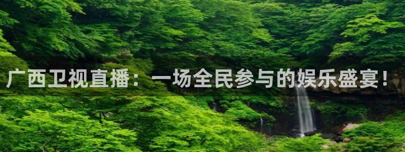 斗球体育直播app官网入口：广西卫视直播：一场全民参与的娱乐盛宴！